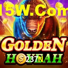 VIP Casino 237N