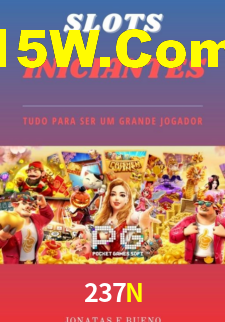 Premium Interface 237N